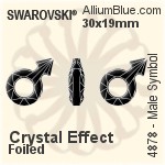スワロフスキー Male Symbol ファンシーストーン (4878) 18x11.5mm - クリスタル 裏面プラチナフォイル