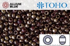 TOHO ラウンド Seed ビーズ (RR3-1705) 3/0 ラウンド Extra Large - Gilded Marble Brown